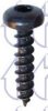 PEUGE 692410 Screw